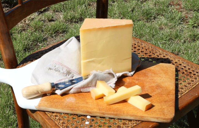 La Pâte Pressée Cuite Fabrication Fromage Dossier Tomate Cerisebe 