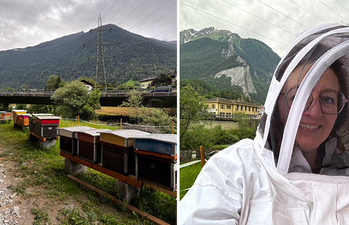 Centre de Compétence en Apiculture Verbier