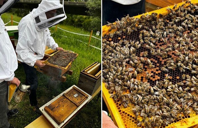 Centre de Compétence en Apiculture Verbier