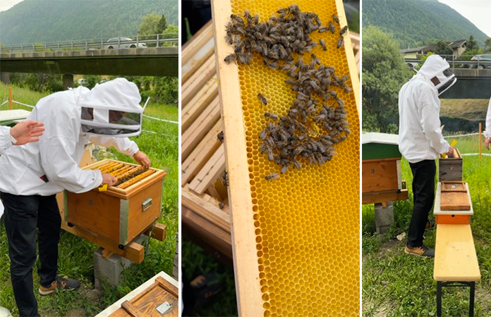 Centre de Compétence en Apiculture Verbier