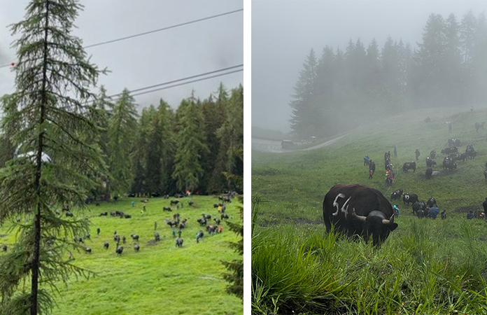 Inalpe Verbier Suisse